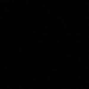 Meet your Posher, Charli